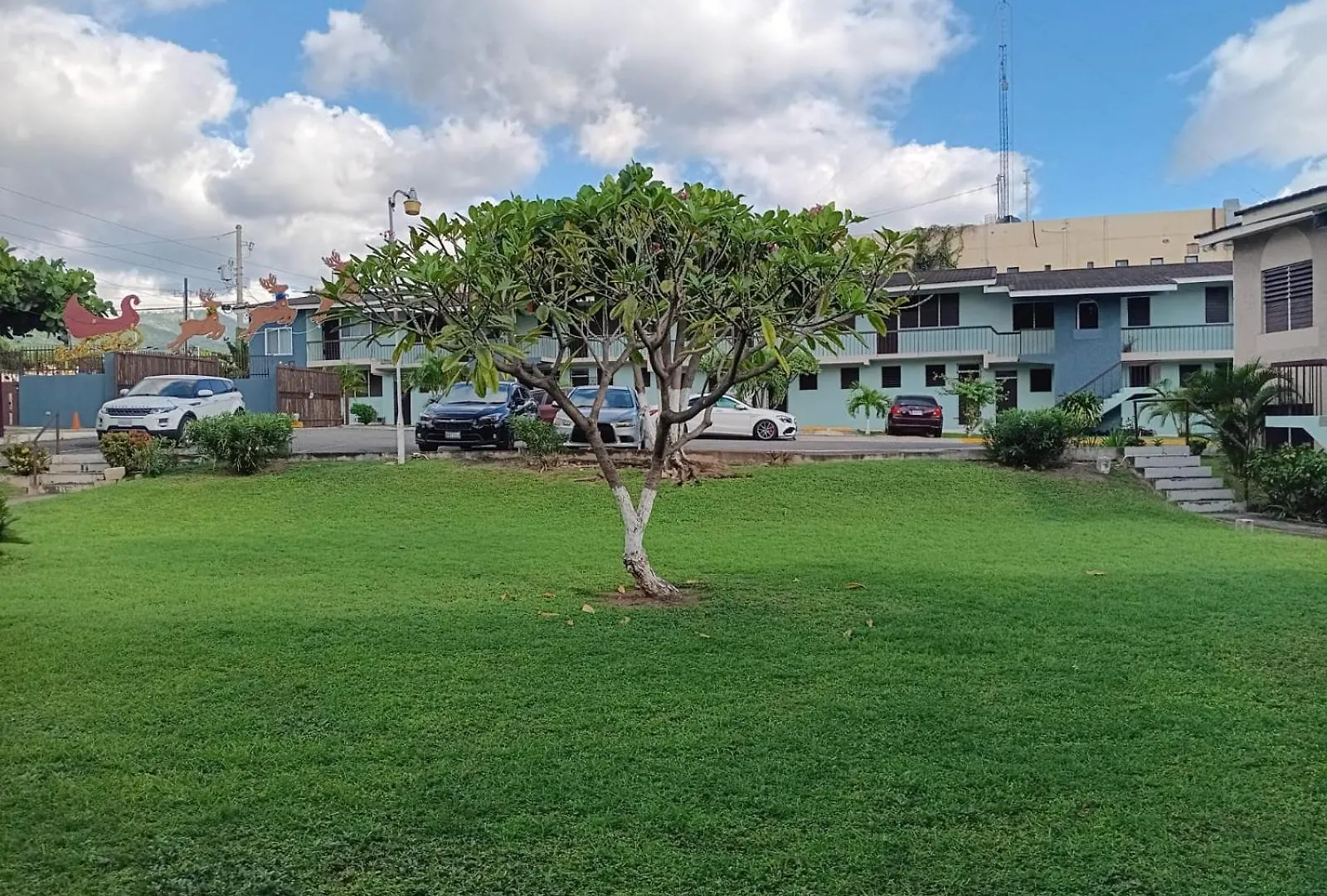 Apartment Cozy Valencia Studio Liguanea Jamaica